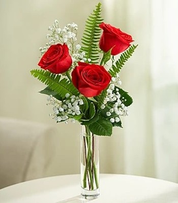 3 Red Rose Arrangement - Long Stem Red Rose in Glass Vase